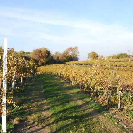 Hildastrasse 1 Appart.2 Friesenheim  Kültér fotó