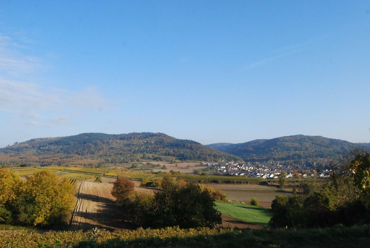 Hildastrasse 1 Appart.2 Friesenheim  Kültér fotó